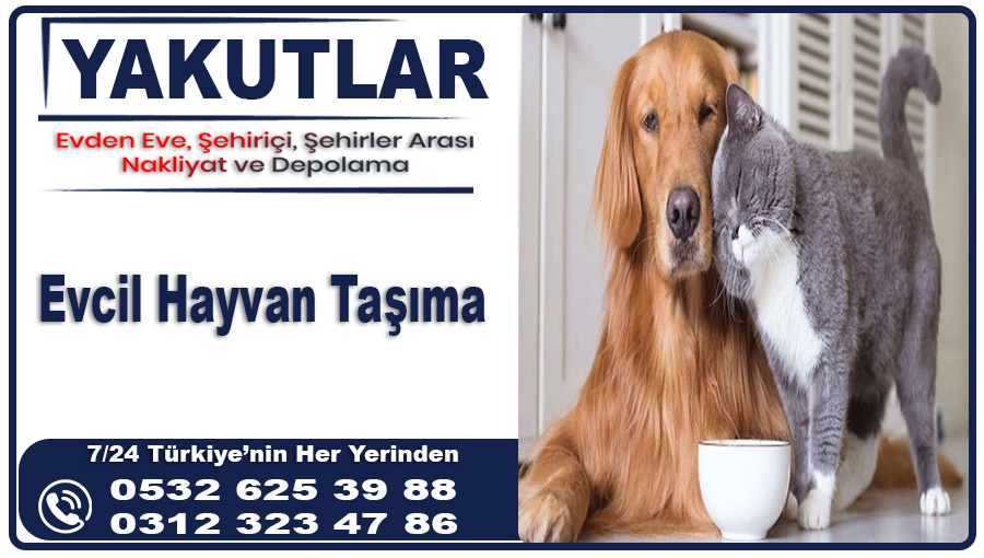 Yakutlar Evcil Hayvan Taşıma